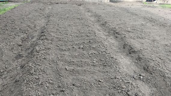 Городовой ру