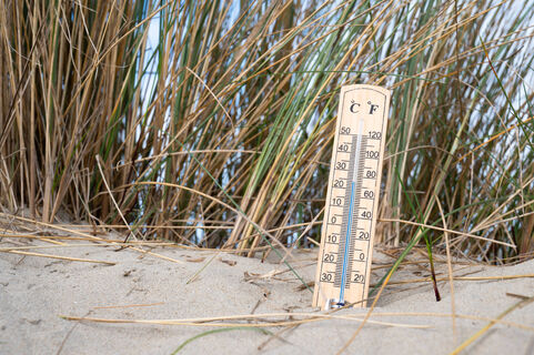 Синоптики рассказали, каким будет лето 2026-го года в регионах России