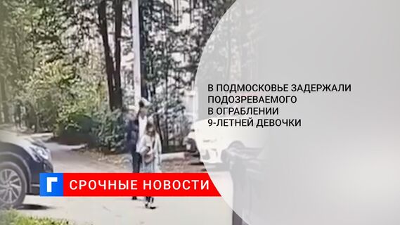В Подмосковье задержали подозреваемого в ограблении 9-летней девочки 