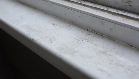 Подоконник станет белоснежным за 5 минут: дешёвые средства, которые работают лучше химии