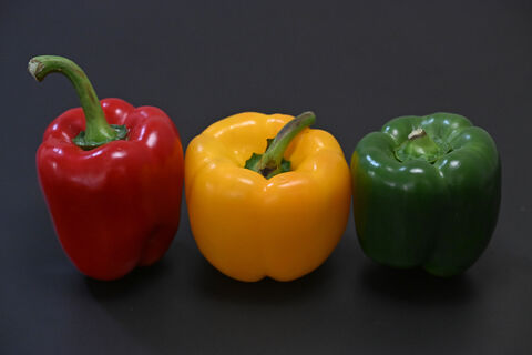 Перцы довольны как слоны: 1 л под корень – и плоды крупнее, сочнее и слаще, созреют на неделю раньше