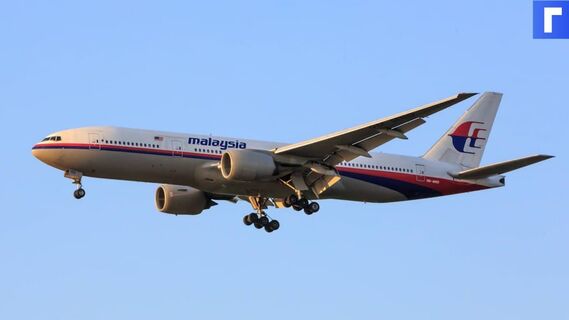 Нидерландцы отклонили показания очевидцев о пуске «Бука» в МН17