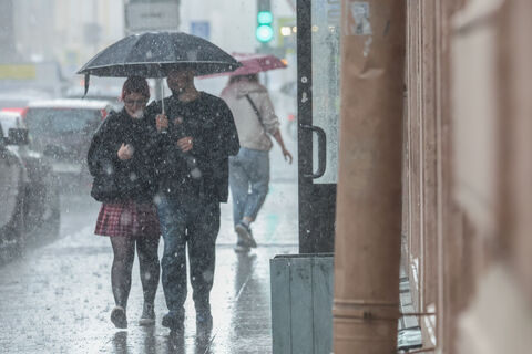 Ноябрь перепутал календарь: первая декада 2025-го стала самой тёплой в Петербурге