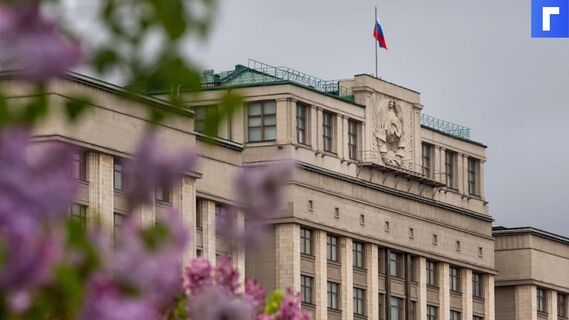 В Госдуме хотят запретить избираться членам экстремистских групп