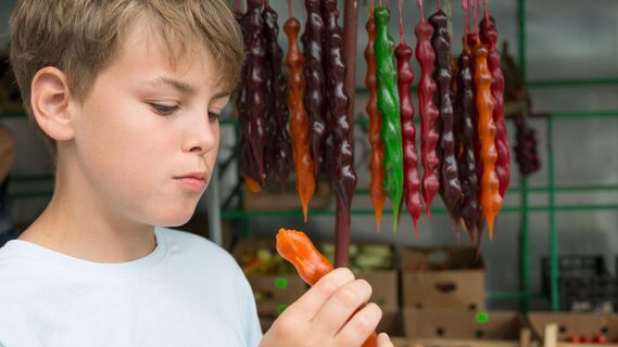 Пять продуктов, которые лучше не пробовать в Абхазии: от чурчхеллы до улиток