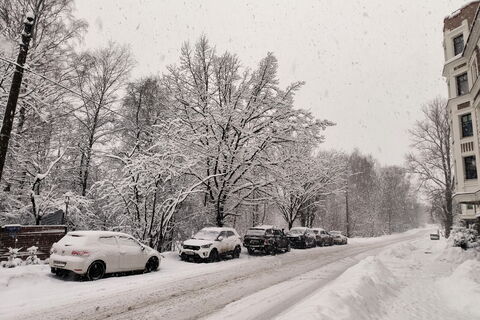 693 машины против гололеда и 3000 тонн пыли: последствия «зимнего» апреля в Петербурге