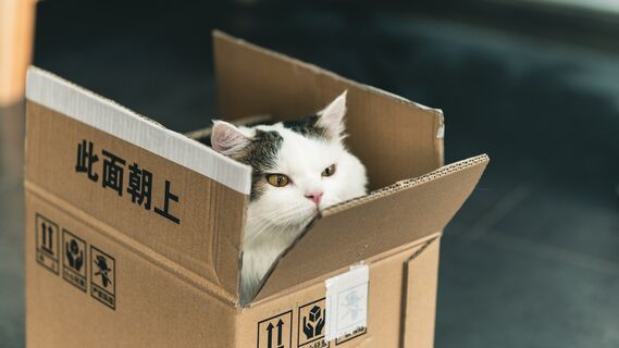 Вот зачем хозяйки скупают древесный наполнитель: ему нашлось применение в быту