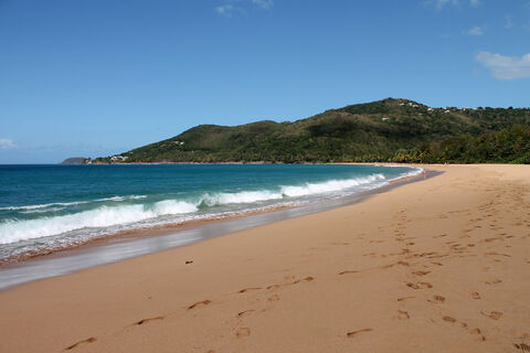 Фукуок и Нячанг больше в почёте: Какой вьетнамский курорт затмил их в феврале 2026 года