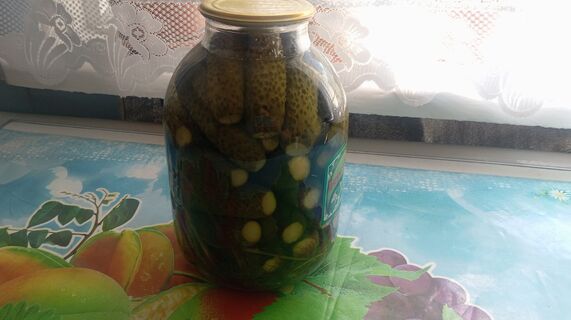 Какие домашние заготовки выгодно делать в 2026 году: капуста, огурцы и варенье