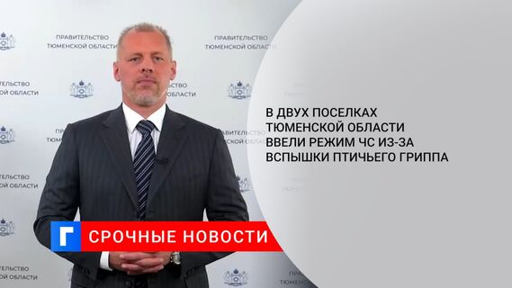 В двух поселках Тюменской области ввели режим ЧС из-за вспышки птичьего гриппа
