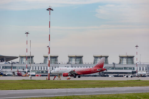 От драгоценной икры до шаманского бубна: какие предметы багажа забывают в аэропорту Пулково