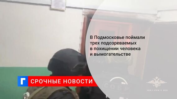 В Подмосковье поймали трех подозреваемых в похищении человека и вымогательстве