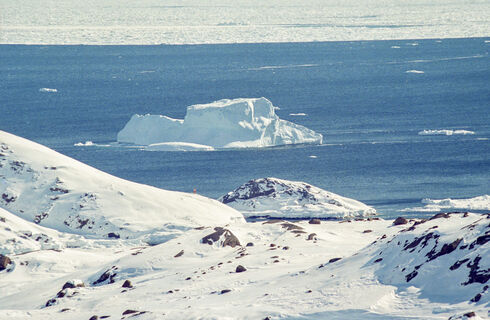 A23a на глазах превращается в крошки: крупнейший в мире айсберг потерял 99% площади