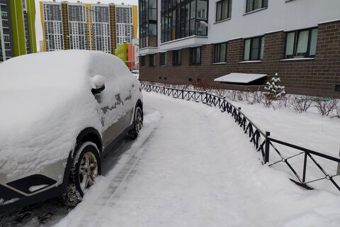 Пятничный сюрприз для Северной столицы: долгожданный снег накроет Петербург