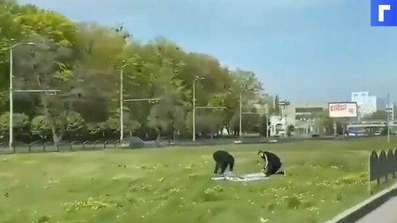 В Харькове украинские националисты сорвали баннеры ко Дню Победы