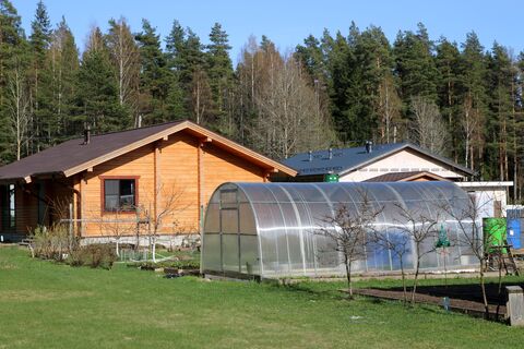 Обязательная уборка теплицы, которая обеспечит вам здоровый урожай: из-за этих ошибок гибнет вся рассада