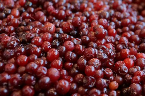 клюквенный соус