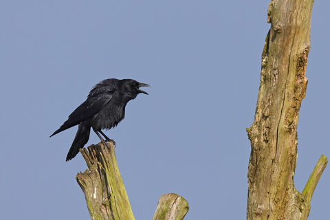 Что нельзя делать 27 апреля: 5 важных запретов на Мартына Лисогона