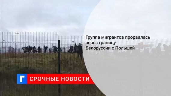 Группа мигрантов прорвалась через границу Белоруссии с Польшей