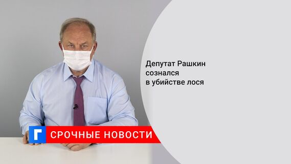 Депутат Рашкин сознался в убийстве лося