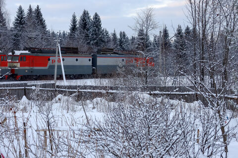 Новый год сведёт рельсами Петербург и Ярославль: в праздники между городами пустят дополнительные поезда