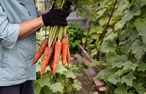 Городовой ру