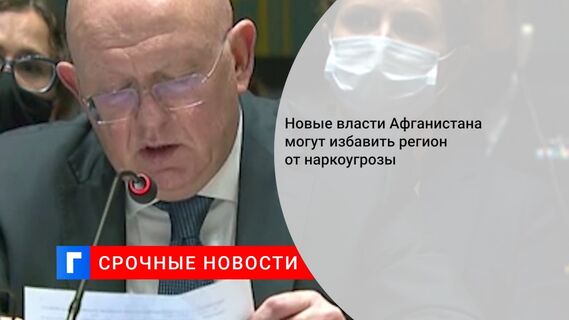 Новые власти Афганистана могут избавить регион от наркоугрозы 