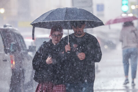 «Теплее, чем в Москве»: когда ждать потепления в Петербурге и какой будет погода 1 мая