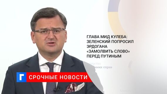 Глава МИД Кулеба: Зеленский попросил Эрдогана «замолвить слово» перед Путиным