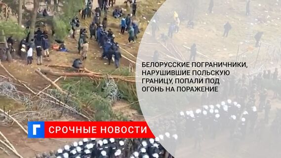 Польские военные открыли огонь по белорусским пограничникам, нарушившим границу