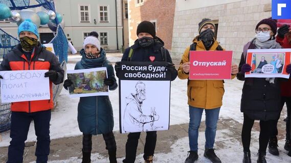 В Интернет утекла база электронных адресов сторонников Навального