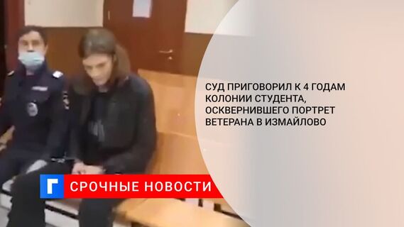 Суд приговорил к 4 годам колонии студента, осквернившего портрет ветерана в Измайлово