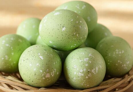 Яйца в мелкую крапинку: Не крашенки на Пасху, а настоящий тренд сезона - схема окрашивания