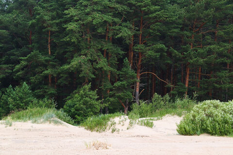 Сколько церквей на территории Курортного района Санкт-Петербурга - названы основные обители: обязательны к посещению