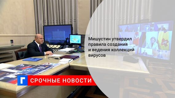 Мишустин утвердил правила создания и ведения коллекций вирусов 