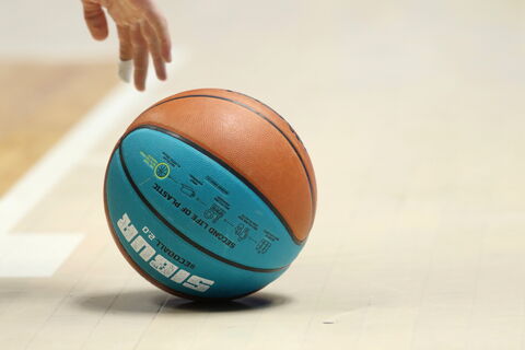 «Зенит» берет Радонича: у клуба появится новый тренер