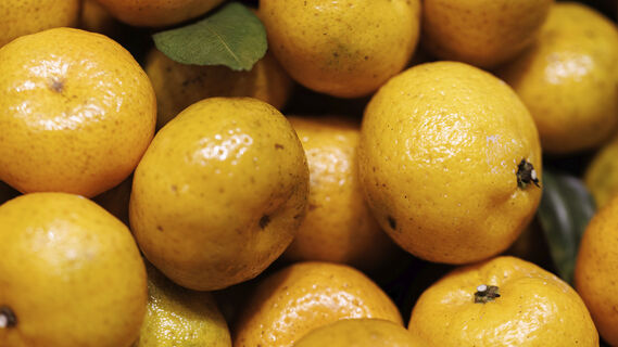 Мандариновая кожура