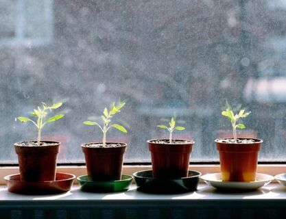 Кидаю носок на подоконник - и конденсата как не бывало: стекло и откосы сухие, как пески Сахары