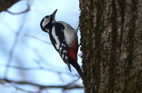 Народные приметы погоды на 19 марта – к снегопадам и 40-дневным холодам 