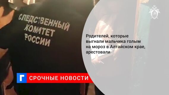 Арестована пара, которая выгнала пятилетнего мальчика голым на мороз