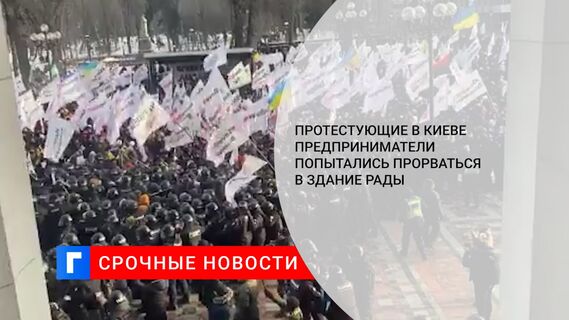 Протестующие в Киеве предприниматели попытались прорваться в здание Рады