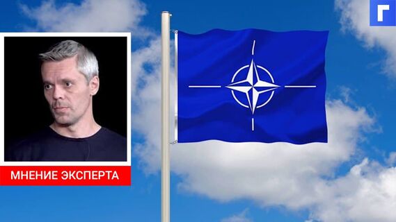 Украина предложила НАТО использовать воздушное пространство возле Крыма