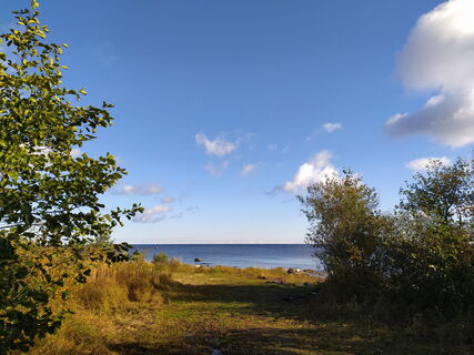 озеро, берег, вода