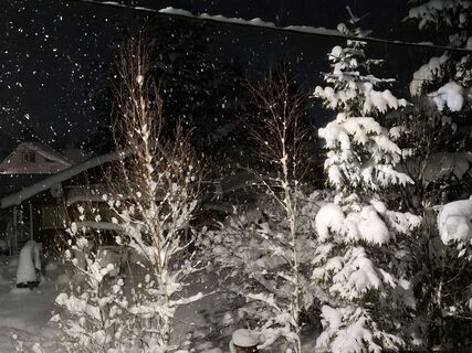 Городовой ру