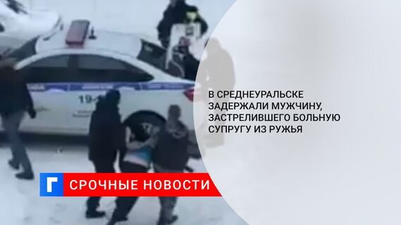 Житель Среднеуральска, стрелявший по прохожим из окна, был задержан