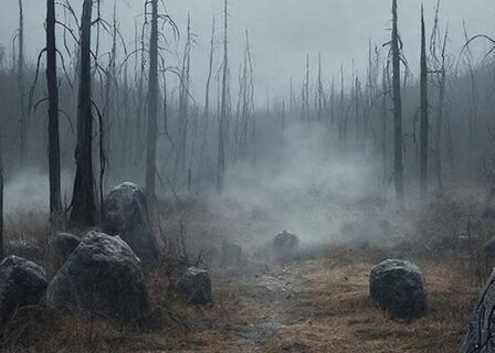 "Чёртово кладбище": Самая страшная поляна в России - почему туда не суются даже смельчаки