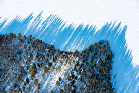 Хоровой маэстро из Петербурга замерз в карельских лесах