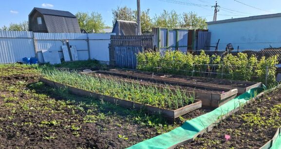 Почему в деревнях резко перестали сажать огороды - местные больше не хотят этого терпеть