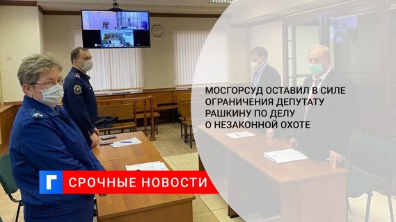 Мосгорсуд оставил в силе ограничения депутату Рашкину по делу о незаконной охоте