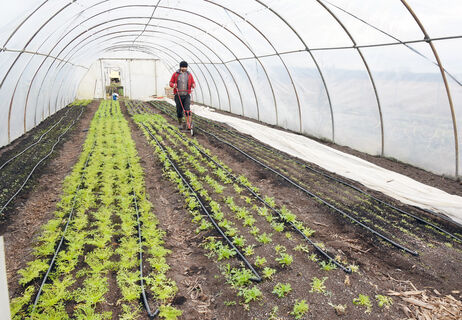 Делаем обогреватель для теплицы: трое суток держит 70°C - сохраняем рассаду в межсезонье